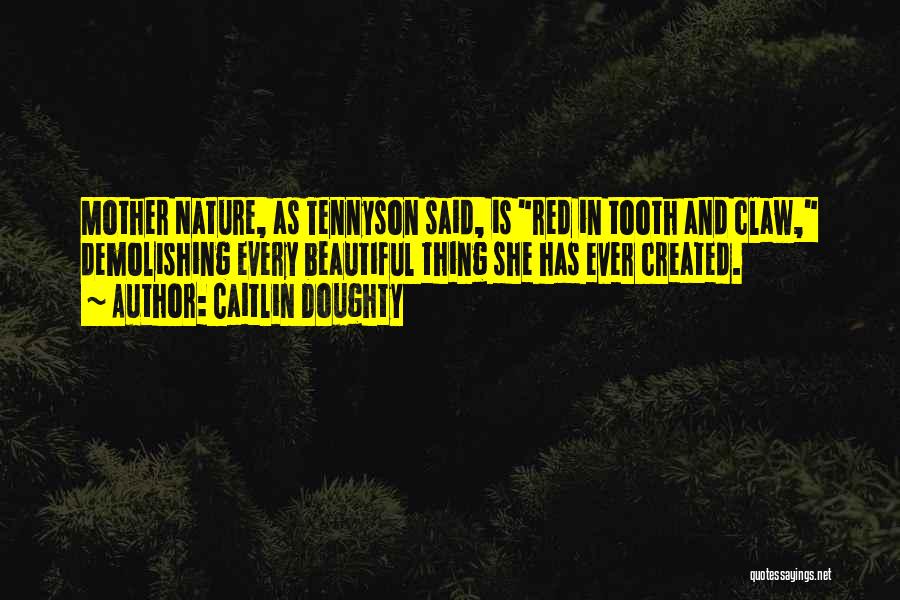 Caitlin Doughty Quotes: Mother Nature, As Tennyson Said, Is Red In Tooth And Claw, Demolishing Every Beautiful Thing She Has Ever Created.