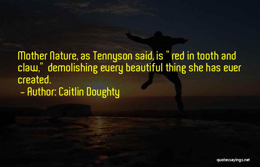 Caitlin Doughty Quotes: Mother Nature, As Tennyson Said, Is Red In Tooth And Claw, Demolishing Every Beautiful Thing She Has Ever Created.