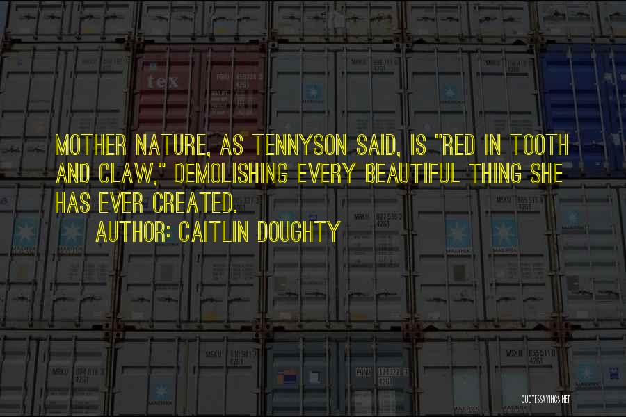 Caitlin Doughty Quotes: Mother Nature, As Tennyson Said, Is Red In Tooth And Claw, Demolishing Every Beautiful Thing She Has Ever Created.