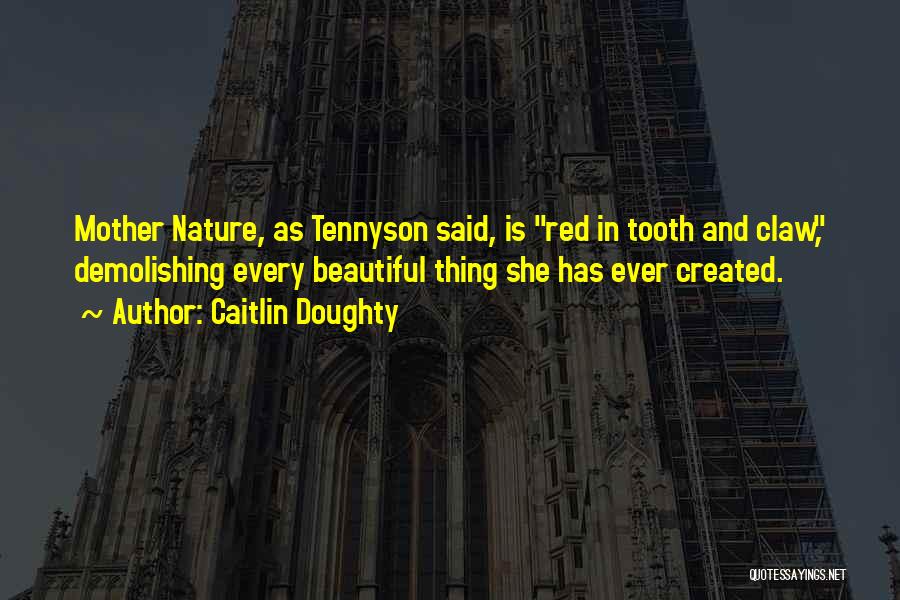 Caitlin Doughty Quotes: Mother Nature, As Tennyson Said, Is Red In Tooth And Claw, Demolishing Every Beautiful Thing She Has Ever Created.