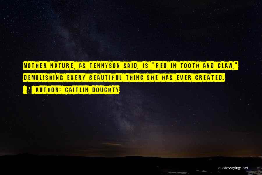 Caitlin Doughty Quotes: Mother Nature, As Tennyson Said, Is Red In Tooth And Claw, Demolishing Every Beautiful Thing She Has Ever Created.