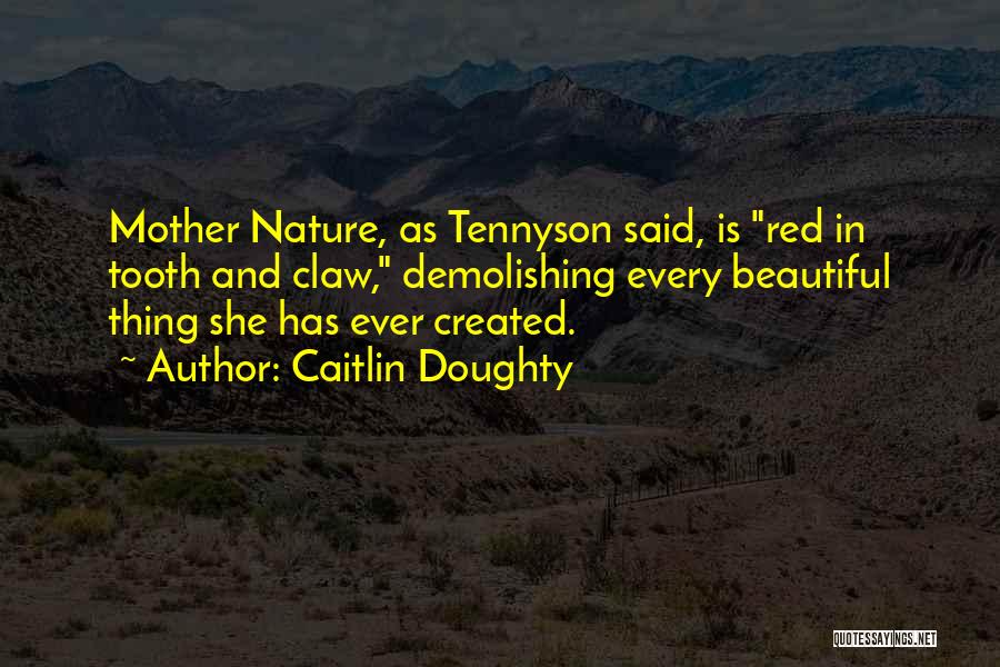 Caitlin Doughty Quotes: Mother Nature, As Tennyson Said, Is Red In Tooth And Claw, Demolishing Every Beautiful Thing She Has Ever Created.