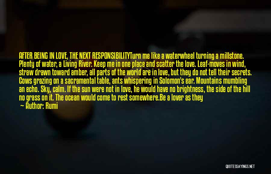 Rumi Quotes: After Being In Love, The Next Responsibilityturn Me Like A Waterwheel Turning A Millstone. Plenty Of Water, A Living River.