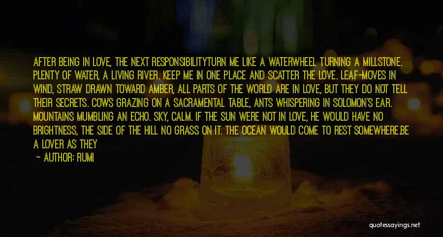 Rumi Quotes: After Being In Love, The Next Responsibilityturn Me Like A Waterwheel Turning A Millstone. Plenty Of Water, A Living River.