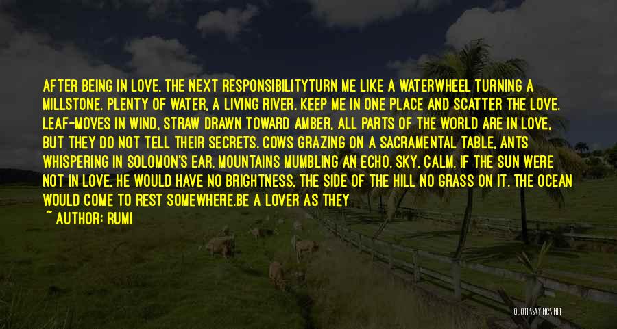 Rumi Quotes: After Being In Love, The Next Responsibilityturn Me Like A Waterwheel Turning A Millstone. Plenty Of Water, A Living River.