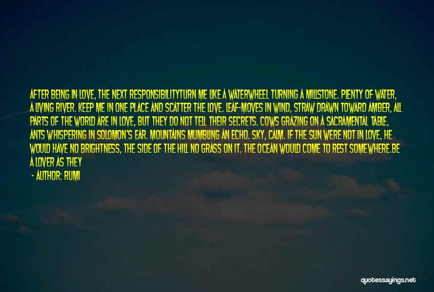 Rumi Quotes: After Being In Love, The Next Responsibilityturn Me Like A Waterwheel Turning A Millstone. Plenty Of Water, A Living River.