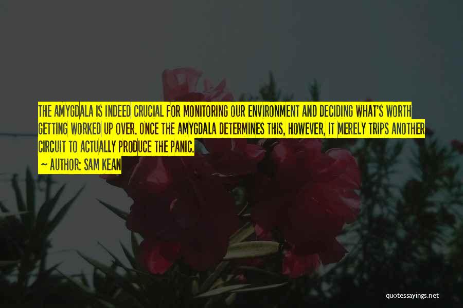 Sam Kean Quotes: The Amygdala Is Indeed Crucial For Monitoring Our Environment And Deciding What's Worth Getting Worked Up Over. Once The Amygdala