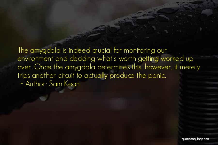 Sam Kean Quotes: The Amygdala Is Indeed Crucial For Monitoring Our Environment And Deciding What's Worth Getting Worked Up Over. Once The Amygdala