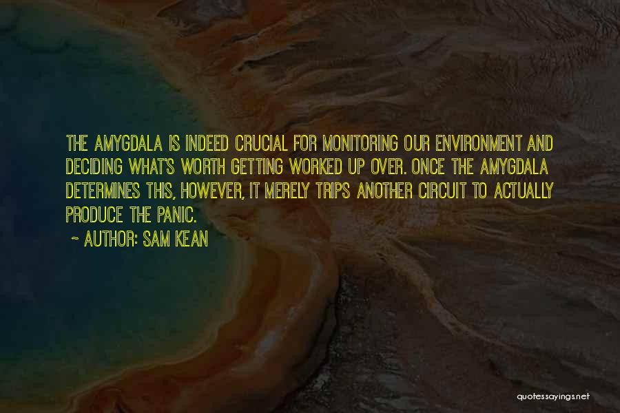 Sam Kean Quotes: The Amygdala Is Indeed Crucial For Monitoring Our Environment And Deciding What's Worth Getting Worked Up Over. Once The Amygdala