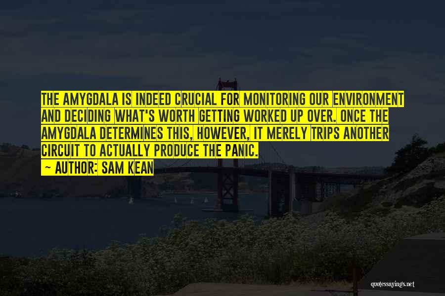 Sam Kean Quotes: The Amygdala Is Indeed Crucial For Monitoring Our Environment And Deciding What's Worth Getting Worked Up Over. Once The Amygdala