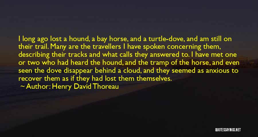 Henry David Thoreau Quotes: I Long Ago Lost A Hound, A Bay Horse, And A Turtle-dove, And Am Still On Their Trail. Many Are