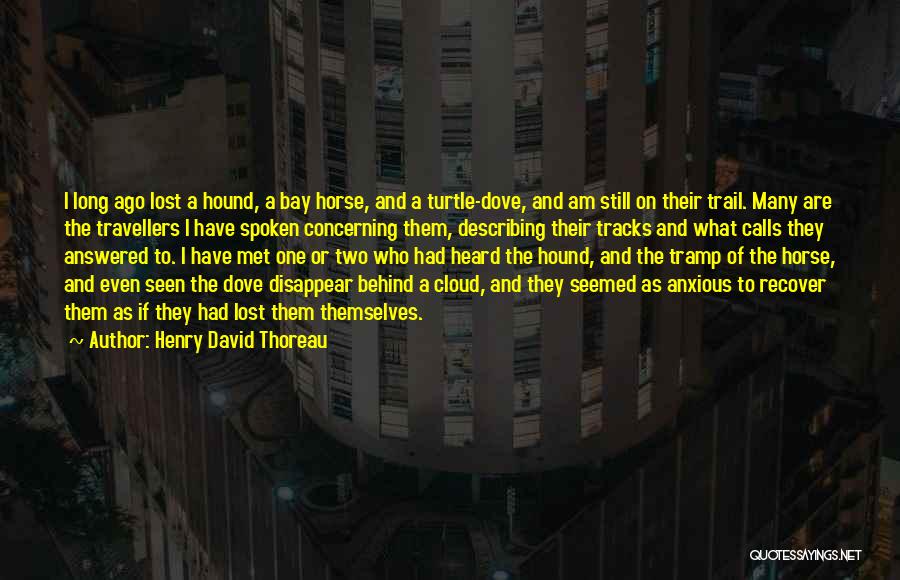 Henry David Thoreau Quotes: I Long Ago Lost A Hound, A Bay Horse, And A Turtle-dove, And Am Still On Their Trail. Many Are