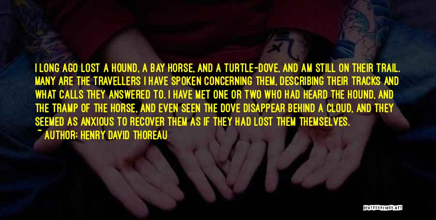 Henry David Thoreau Quotes: I Long Ago Lost A Hound, A Bay Horse, And A Turtle-dove, And Am Still On Their Trail. Many Are