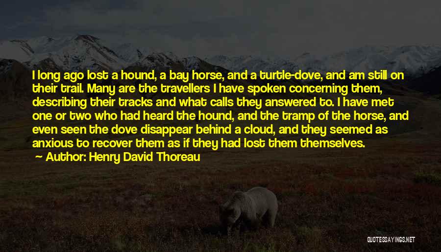 Henry David Thoreau Quotes: I Long Ago Lost A Hound, A Bay Horse, And A Turtle-dove, And Am Still On Their Trail. Many Are