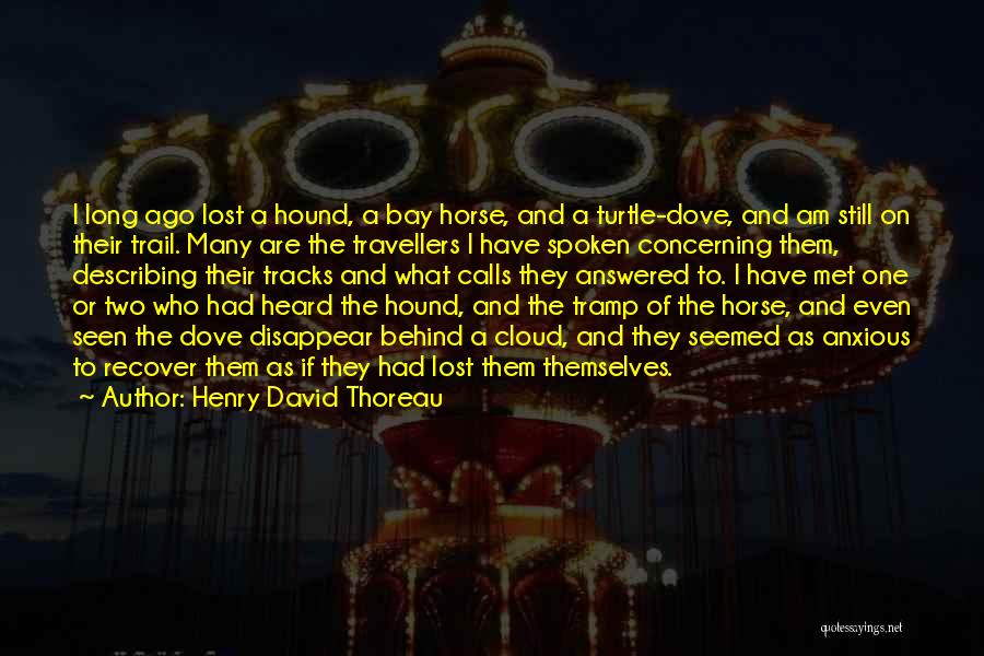 Henry David Thoreau Quotes: I Long Ago Lost A Hound, A Bay Horse, And A Turtle-dove, And Am Still On Their Trail. Many Are