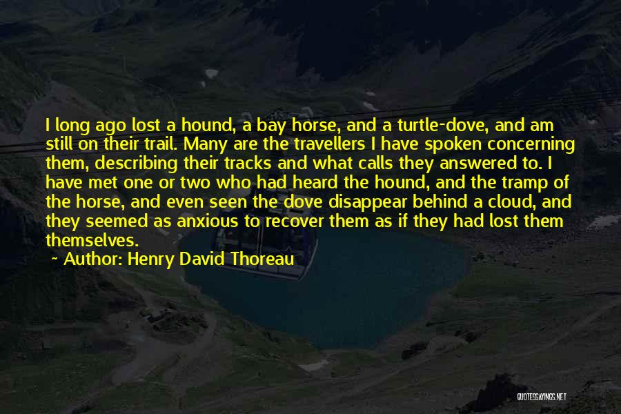 Henry David Thoreau Quotes: I Long Ago Lost A Hound, A Bay Horse, And A Turtle-dove, And Am Still On Their Trail. Many Are