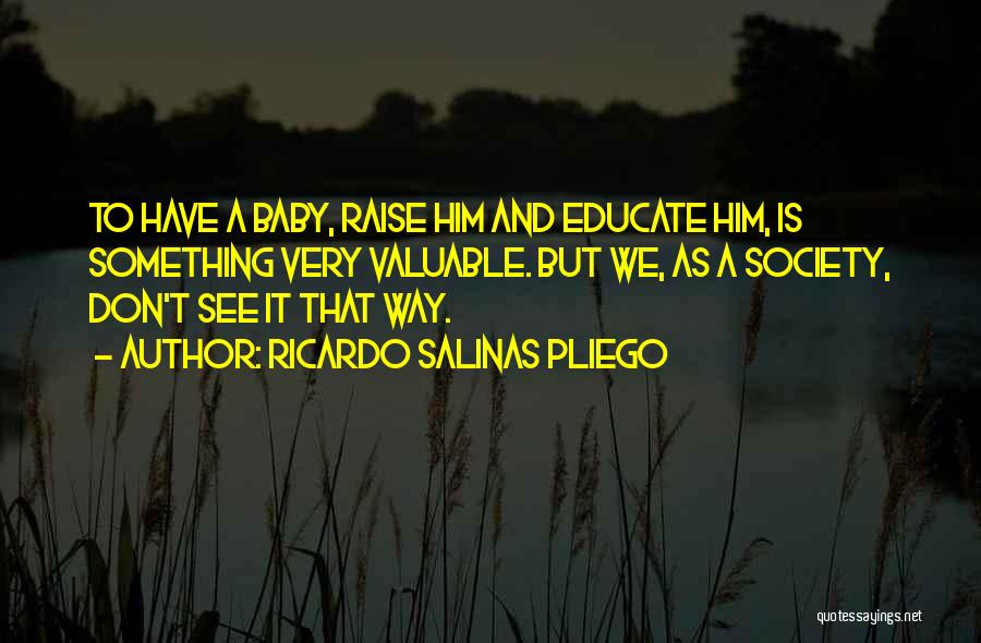 Ricardo Salinas Pliego Quotes: To Have A Baby, Raise Him And Educate Him, Is Something Very Valuable. But We, As A Society, Don't See