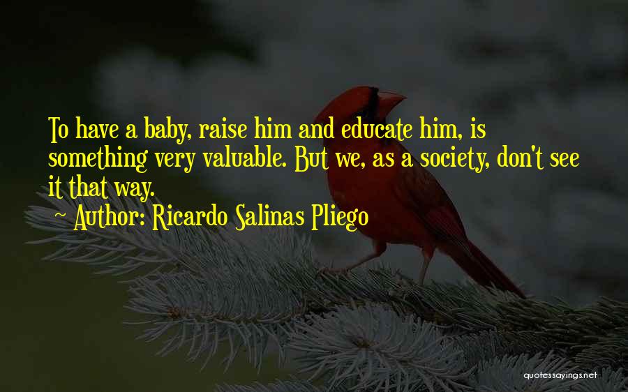 Ricardo Salinas Pliego Quotes: To Have A Baby, Raise Him And Educate Him, Is Something Very Valuable. But We, As A Society, Don't See