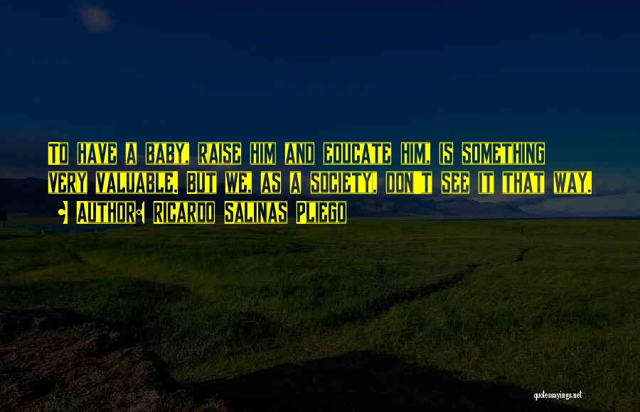Ricardo Salinas Pliego Quotes: To Have A Baby, Raise Him And Educate Him, Is Something Very Valuable. But We, As A Society, Don't See