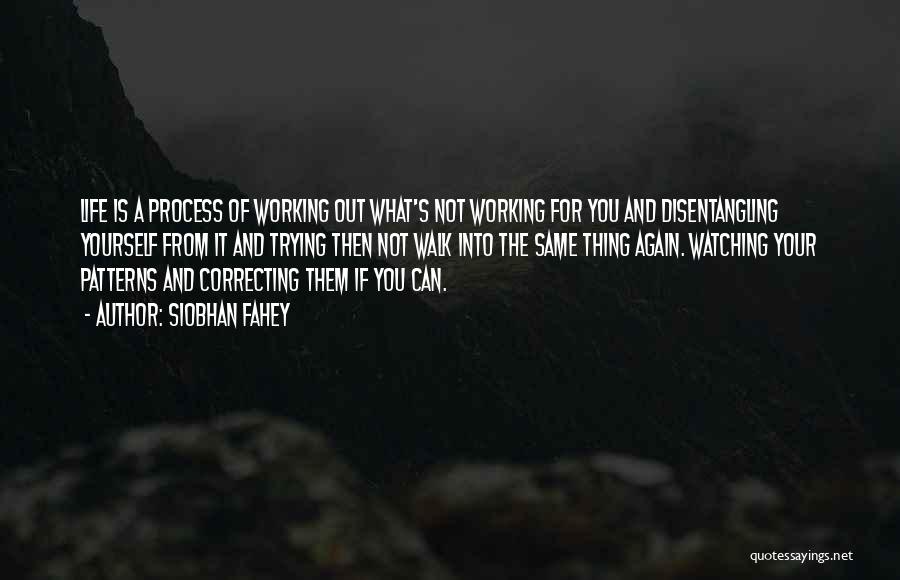 Siobhan Fahey Quotes: Life Is A Process Of Working Out What's Not Working For You And Disentangling Yourself From It And Trying Then