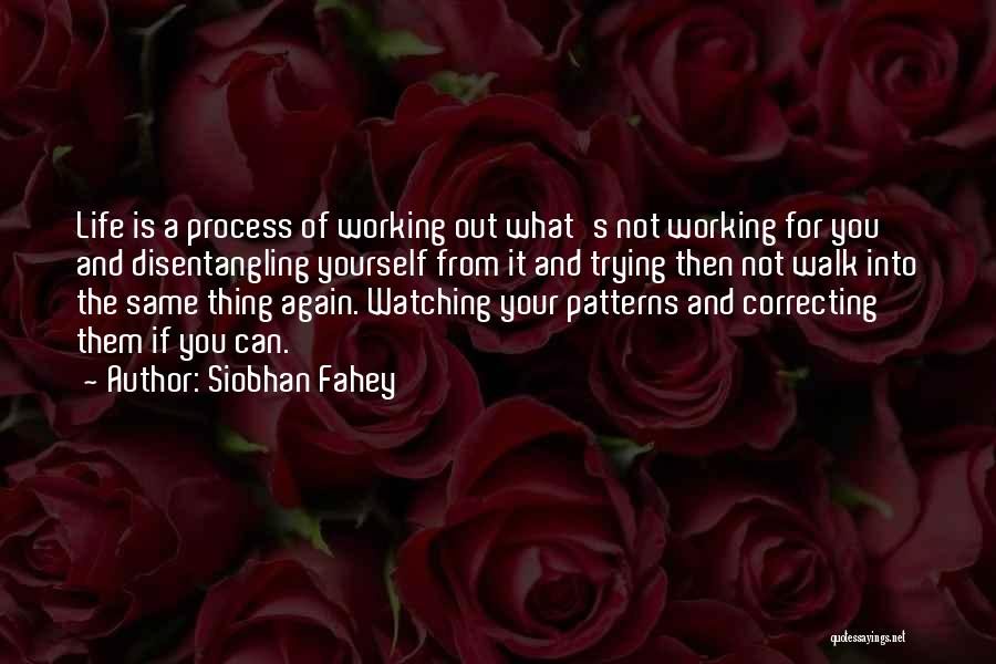 Siobhan Fahey Quotes: Life Is A Process Of Working Out What's Not Working For You And Disentangling Yourself From It And Trying Then