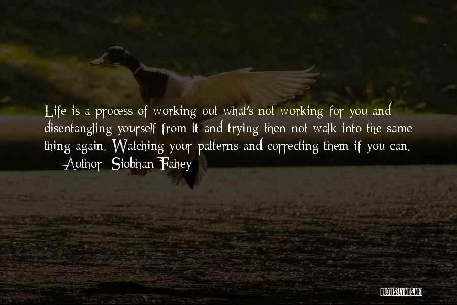 Siobhan Fahey Quotes: Life Is A Process Of Working Out What's Not Working For You And Disentangling Yourself From It And Trying Then