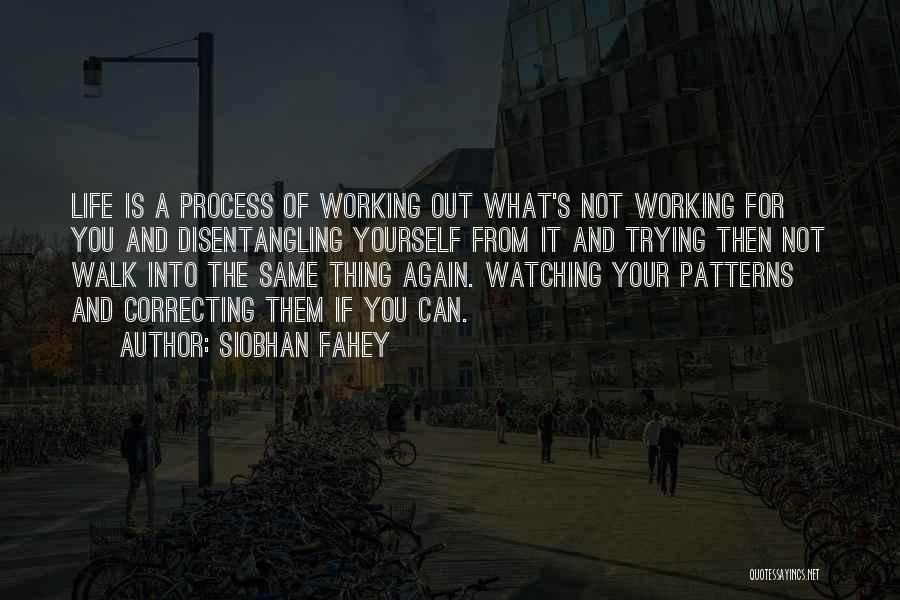 Siobhan Fahey Quotes: Life Is A Process Of Working Out What's Not Working For You And Disentangling Yourself From It And Trying Then
