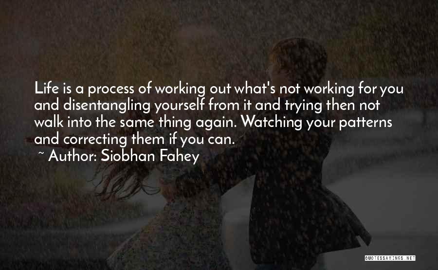 Siobhan Fahey Quotes: Life Is A Process Of Working Out What's Not Working For You And Disentangling Yourself From It And Trying Then