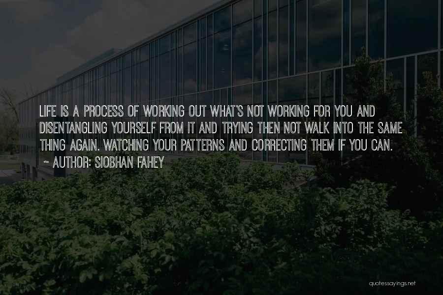 Siobhan Fahey Quotes: Life Is A Process Of Working Out What's Not Working For You And Disentangling Yourself From It And Trying Then