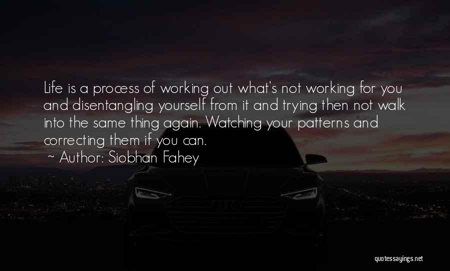 Siobhan Fahey Quotes: Life Is A Process Of Working Out What's Not Working For You And Disentangling Yourself From It And Trying Then