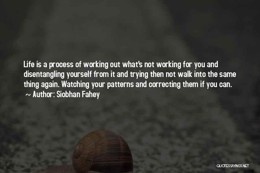 Siobhan Fahey Quotes: Life Is A Process Of Working Out What's Not Working For You And Disentangling Yourself From It And Trying Then