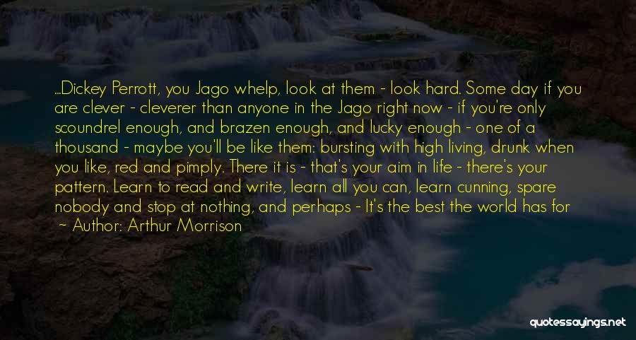 Arthur Morrison Quotes: ...dickey Perrott, You Jago Whelp, Look At Them - Look Hard. Some Day If You Are Clever - Cleverer Than