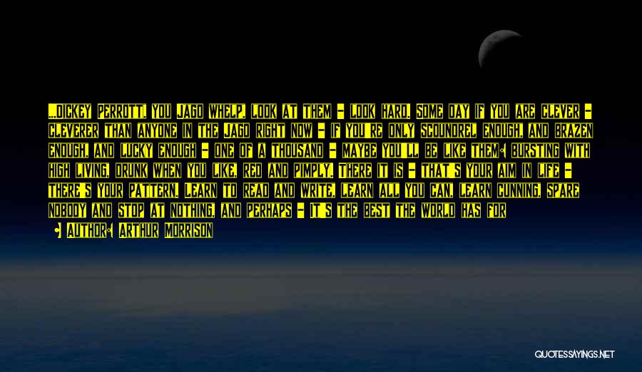 Arthur Morrison Quotes: ...dickey Perrott, You Jago Whelp, Look At Them - Look Hard. Some Day If You Are Clever - Cleverer Than