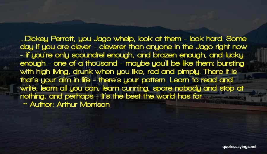 Arthur Morrison Quotes: ...dickey Perrott, You Jago Whelp, Look At Them - Look Hard. Some Day If You Are Clever - Cleverer Than