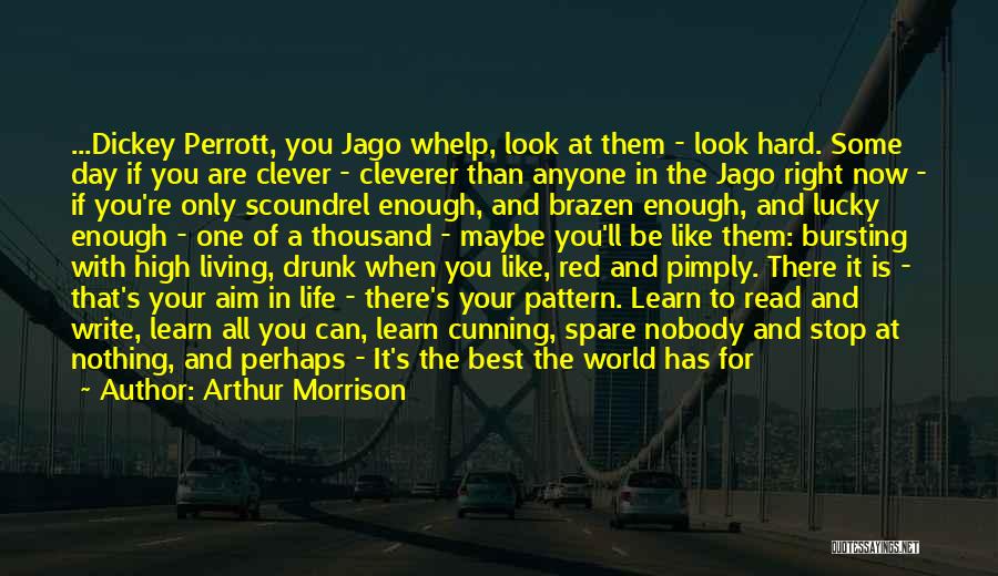 Arthur Morrison Quotes: ...dickey Perrott, You Jago Whelp, Look At Them - Look Hard. Some Day If You Are Clever - Cleverer Than