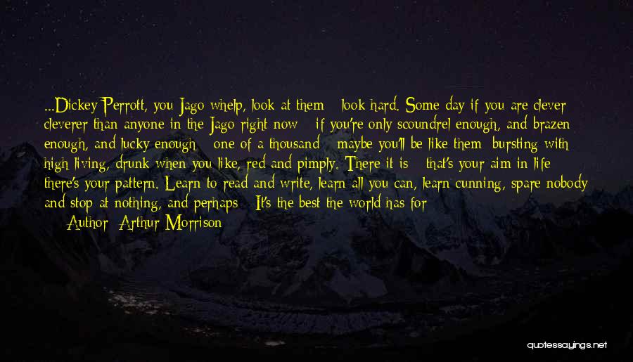 Arthur Morrison Quotes: ...dickey Perrott, You Jago Whelp, Look At Them - Look Hard. Some Day If You Are Clever - Cleverer Than