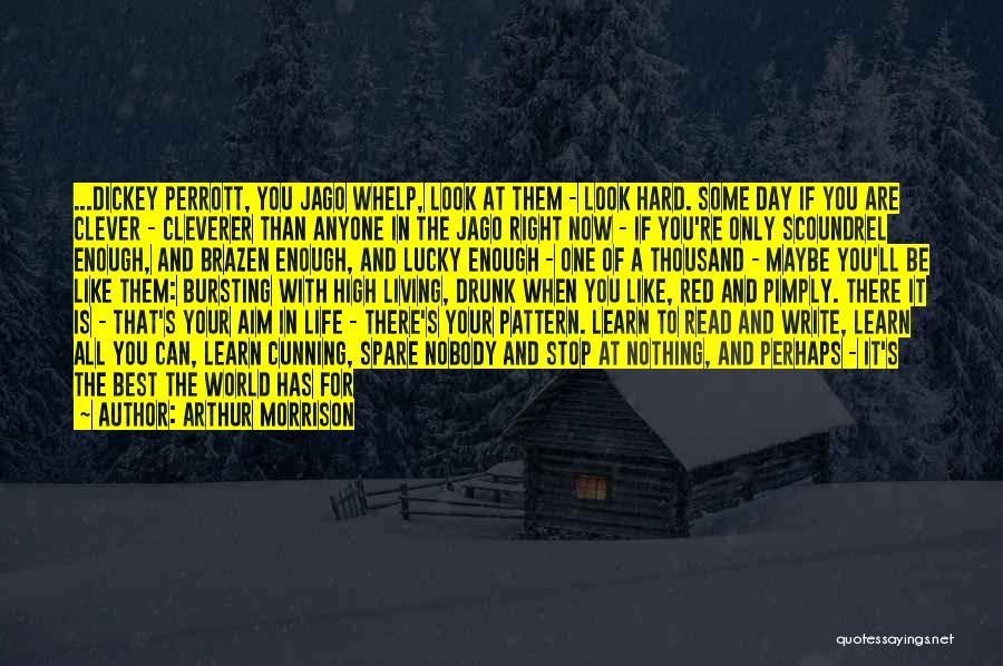 Arthur Morrison Quotes: ...dickey Perrott, You Jago Whelp, Look At Them - Look Hard. Some Day If You Are Clever - Cleverer Than