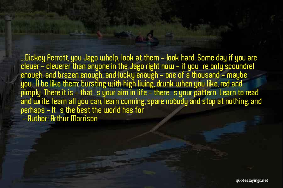 Arthur Morrison Quotes: ...dickey Perrott, You Jago Whelp, Look At Them - Look Hard. Some Day If You Are Clever - Cleverer Than