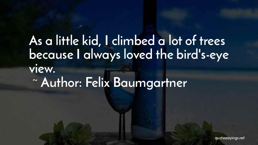 Felix Baumgartner Quotes: As A Little Kid, I Climbed A Lot Of Trees Because I Always Loved The Bird's-eye View.
