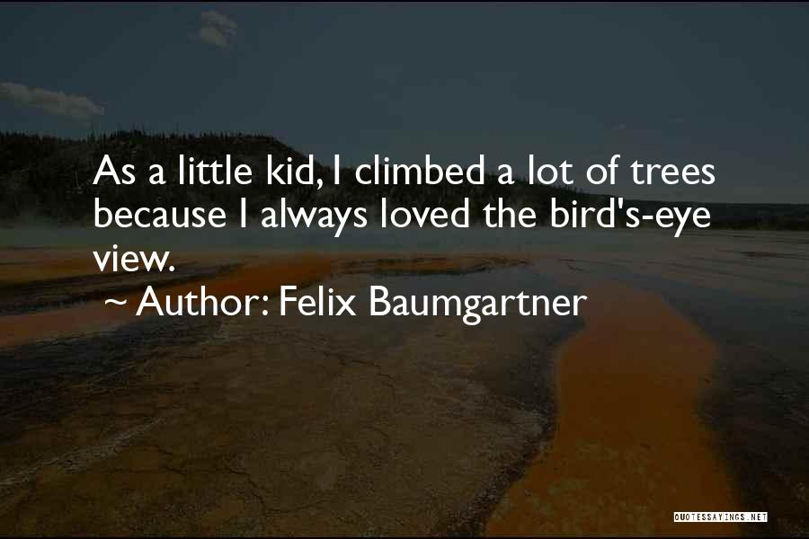 Felix Baumgartner Quotes: As A Little Kid, I Climbed A Lot Of Trees Because I Always Loved The Bird's-eye View.