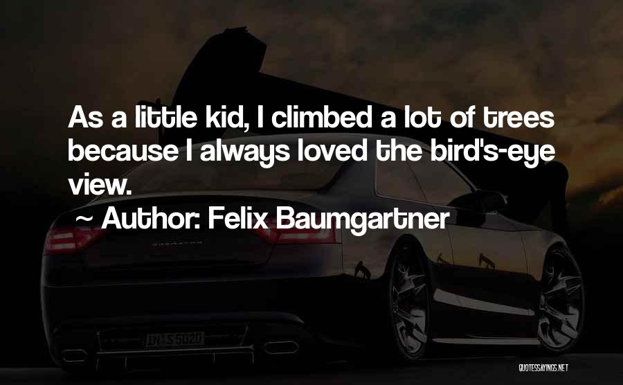 Felix Baumgartner Quotes: As A Little Kid, I Climbed A Lot Of Trees Because I Always Loved The Bird's-eye View.
