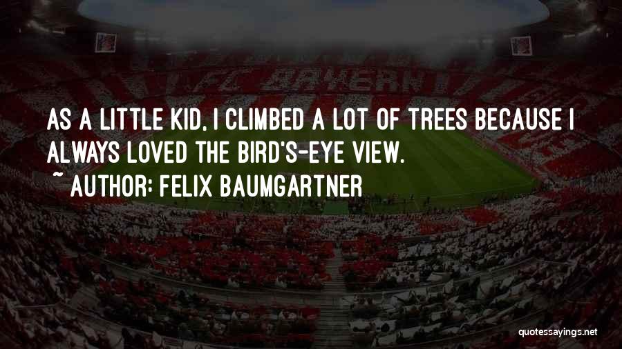 Felix Baumgartner Quotes: As A Little Kid, I Climbed A Lot Of Trees Because I Always Loved The Bird's-eye View.