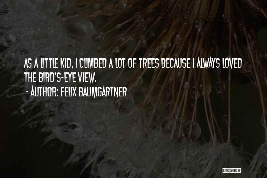 Felix Baumgartner Quotes: As A Little Kid, I Climbed A Lot Of Trees Because I Always Loved The Bird's-eye View.