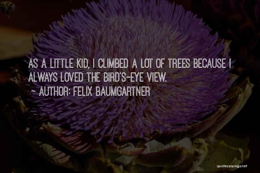 Felix Baumgartner Quotes: As A Little Kid, I Climbed A Lot Of Trees Because I Always Loved The Bird's-eye View.