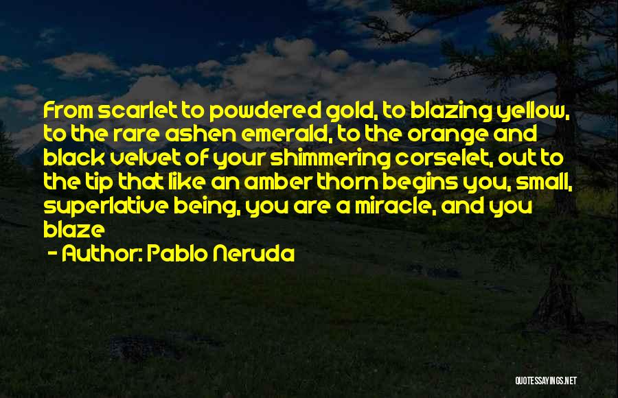 Pablo Neruda Quotes: From Scarlet To Powdered Gold, To Blazing Yellow, To The Rare Ashen Emerald, To The Orange And Black Velvet Of