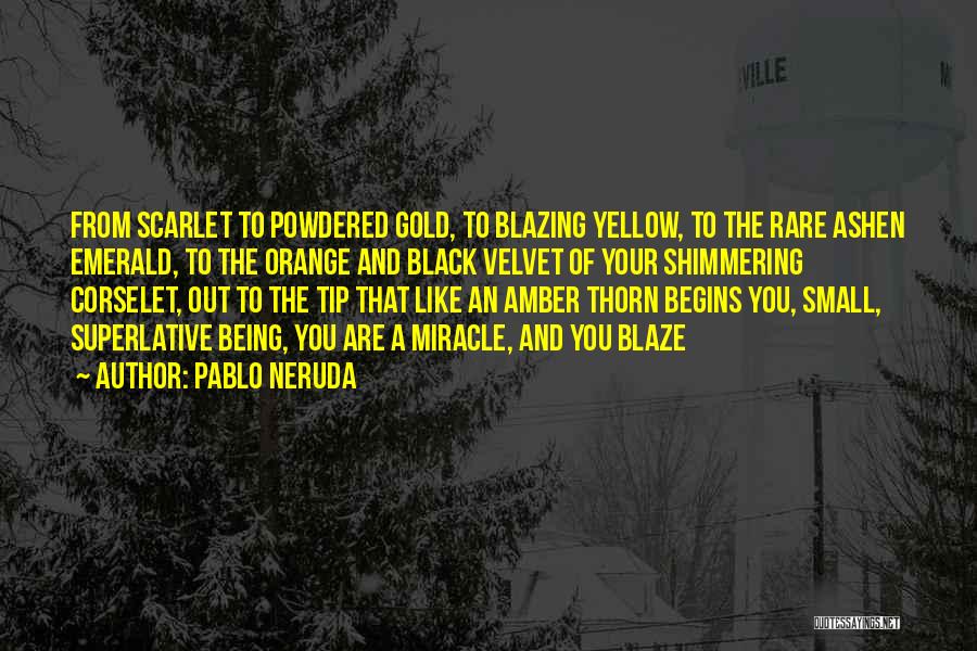 Pablo Neruda Quotes: From Scarlet To Powdered Gold, To Blazing Yellow, To The Rare Ashen Emerald, To The Orange And Black Velvet Of