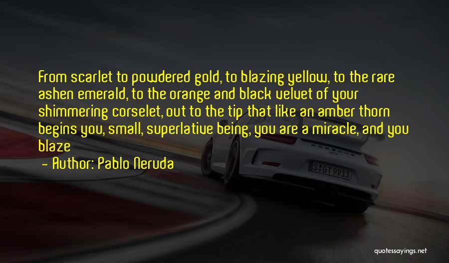 Pablo Neruda Quotes: From Scarlet To Powdered Gold, To Blazing Yellow, To The Rare Ashen Emerald, To The Orange And Black Velvet Of
