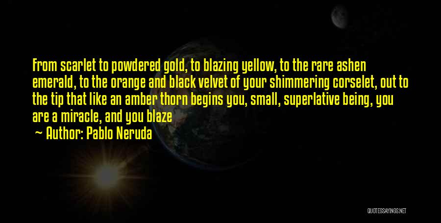 Pablo Neruda Quotes: From Scarlet To Powdered Gold, To Blazing Yellow, To The Rare Ashen Emerald, To The Orange And Black Velvet Of