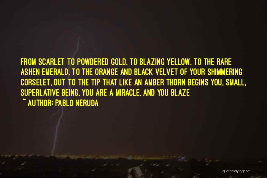 Pablo Neruda Quotes: From Scarlet To Powdered Gold, To Blazing Yellow, To The Rare Ashen Emerald, To The Orange And Black Velvet Of