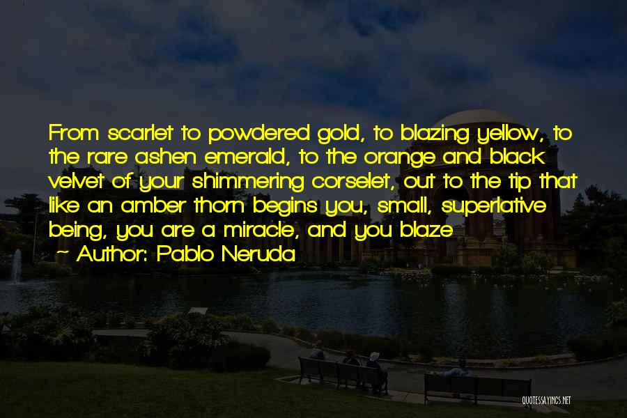 Pablo Neruda Quotes: From Scarlet To Powdered Gold, To Blazing Yellow, To The Rare Ashen Emerald, To The Orange And Black Velvet Of